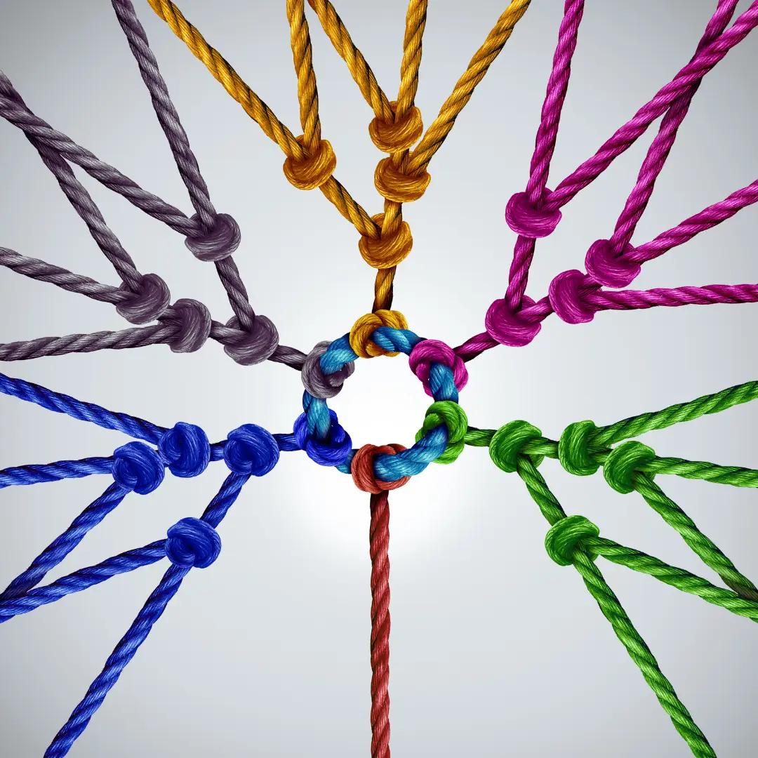 colorful interwoven twine